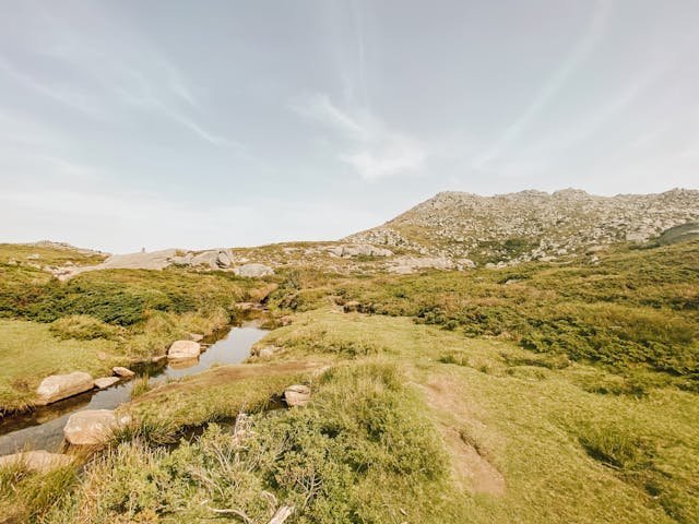 Paysage Agence de communication en Corse-du-Sud